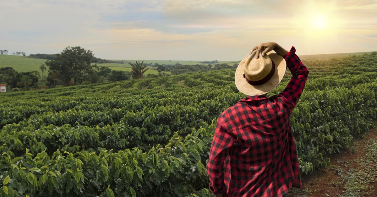 coffee-grower-farm