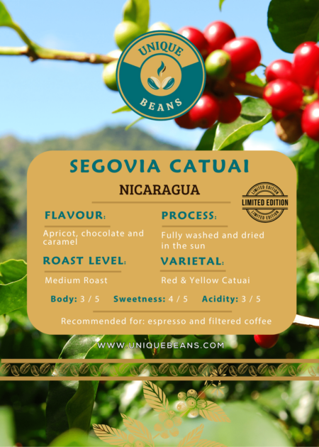 Segovia catuai Nicaragua-min